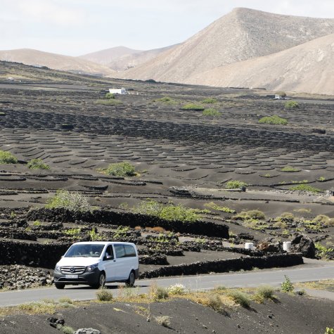 4x4 Tour: Flavors of Lanzarote