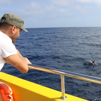 Lobos Island Tour 