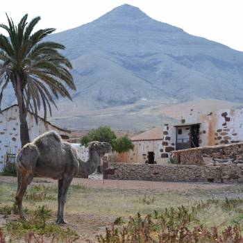 Fuerteventura Tour